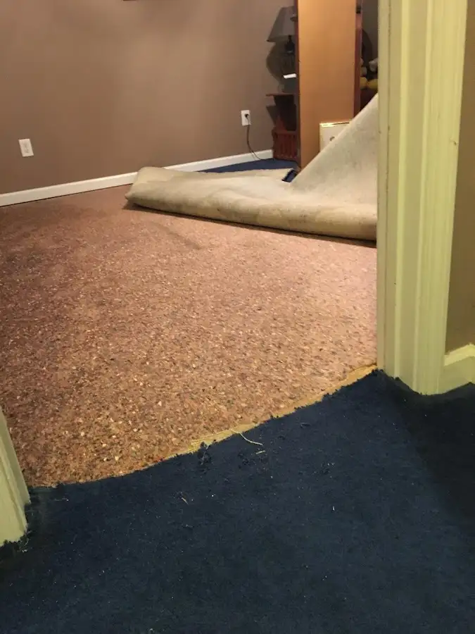 Carpet pad removal revealing water damage during Drying & Dehumidification in Greeneville