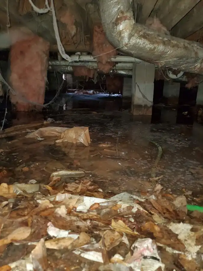 Crawl space flood assessment for Leak Detection & Repair in Greeneville