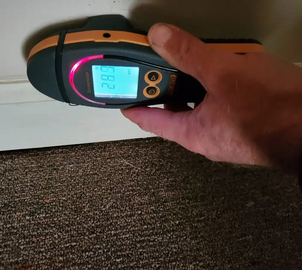 Moisture detection at baseboard during Mold Inspection & Testing in Greeneville